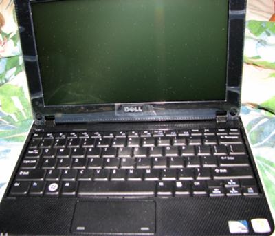 Laptop Screen Mini on Dell Inspiron Mini 1012