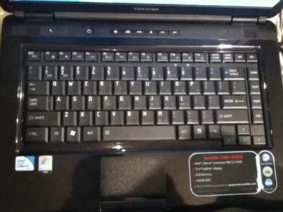 Toshiba Satellite L305-S5955