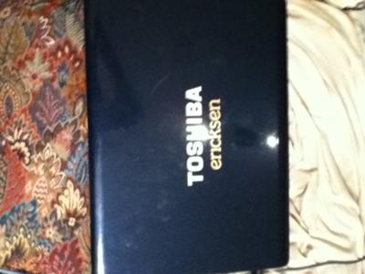 Toshiba Satellite L305-S5955